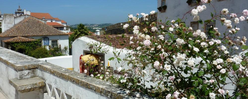 Carmona São Martinho do Porto Exterior foto